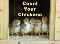 Count_Your_Chickens